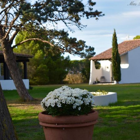 Mas Mls Hotel Saintes-Maries-de-la-Mer Luaran gambar